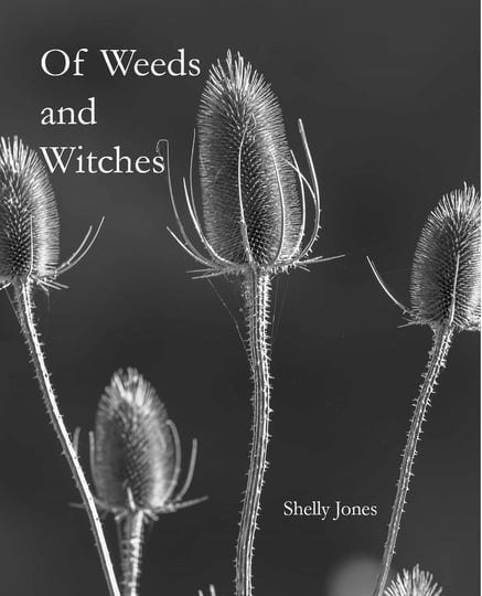 The book cover of  "Of Weeds and Witches" by Shelly Jones - black and white book cover showing thistle. 